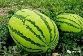 今日吃瓜上海老师热门大瓜